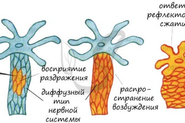 Кракен новый сайт