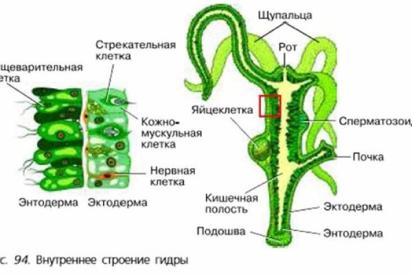 Кракен даркнет вход